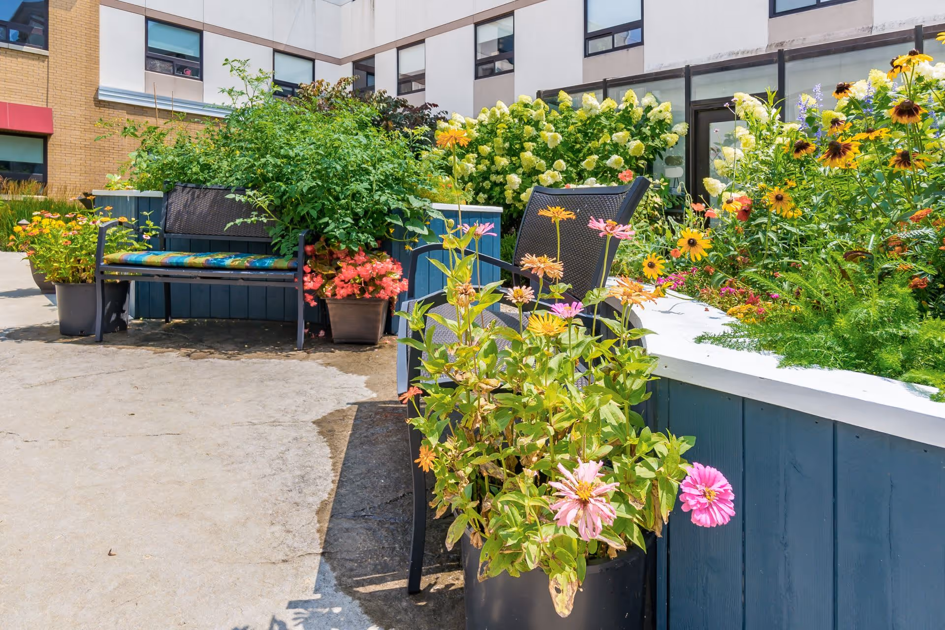 Outdoor patio area with colorful flowers in planters and garden beds, a bench with a cushion, and a chair. The background shows the exterior walls and windows of a building.