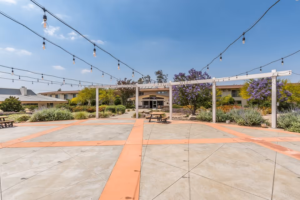 Outdoor courtyard area at Sun City Gardens with string lights hanging overhead, concrete ground with orange lines, picnic tables, landscaped bushes, and purple flowering trees under a clear blue sky.