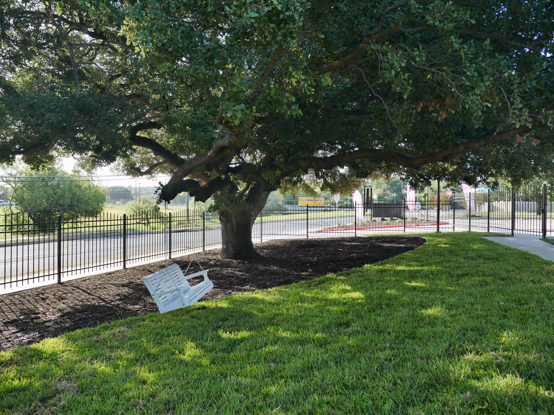 A large tree with dense green foliage providing shade over a white wooden swing hanging from one of its branches. The swing is positioned over a patch of dark mulch, with a well-maintained green lawn surrounding it. In the background, there is a black metal fence and a paved road with some traffic signs and vehicles visible.
