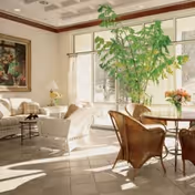 A bright and airy living room with large windows letting in natural light. The room features white cushioned sofas, wicker chairs, a round glass-top table with a flower vase, a large green indoor plant, and a framed painting on the wall.