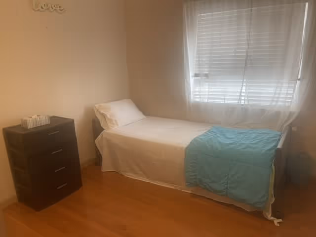 A simple bedroom with a single bed covered in white sheets and a blue blanket. Next to the bed is a dark wooden dresser with a box of tissues on top. A window with white blinds and sheer curtains allows natural light into the room. The wall above the dresser has a decorative word 'love'. The floor is wooden.