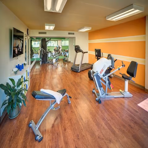 A bright fitness room with wooden flooring, featuring exercise equipment including a recumbent bike, treadmill, and weight bench. The room has large windows letting in natural light, a wall-mounted TV, and a potted plant in the corner.