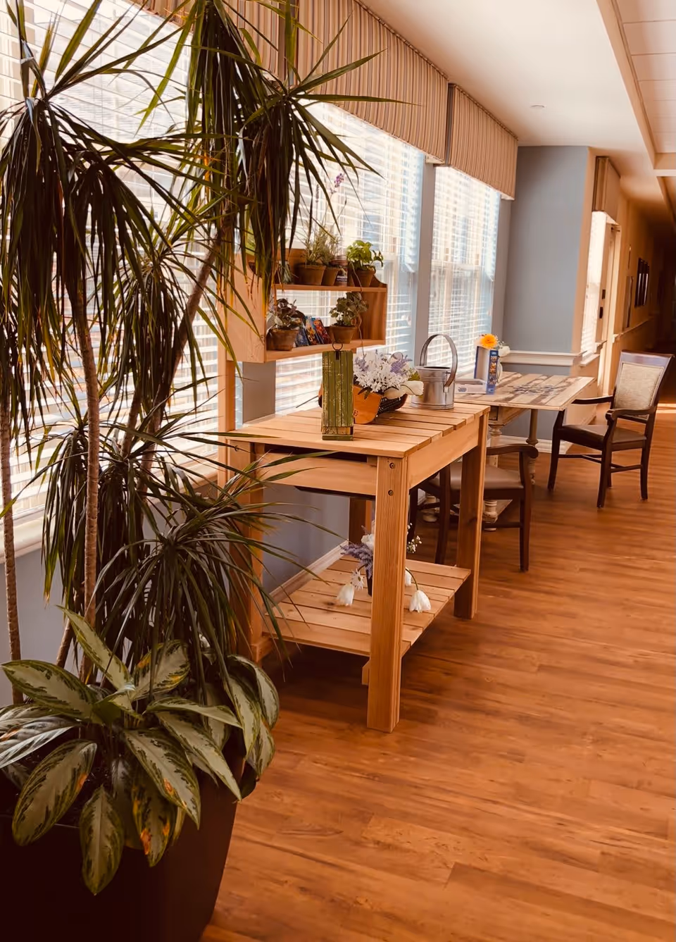 A bright hallway with large windows covered by blinds, featuring a wooden table with potted plants, flowers, and a watering can. There are chairs and a small table further down the hallway, with wooden flooring and light-colored walls.
