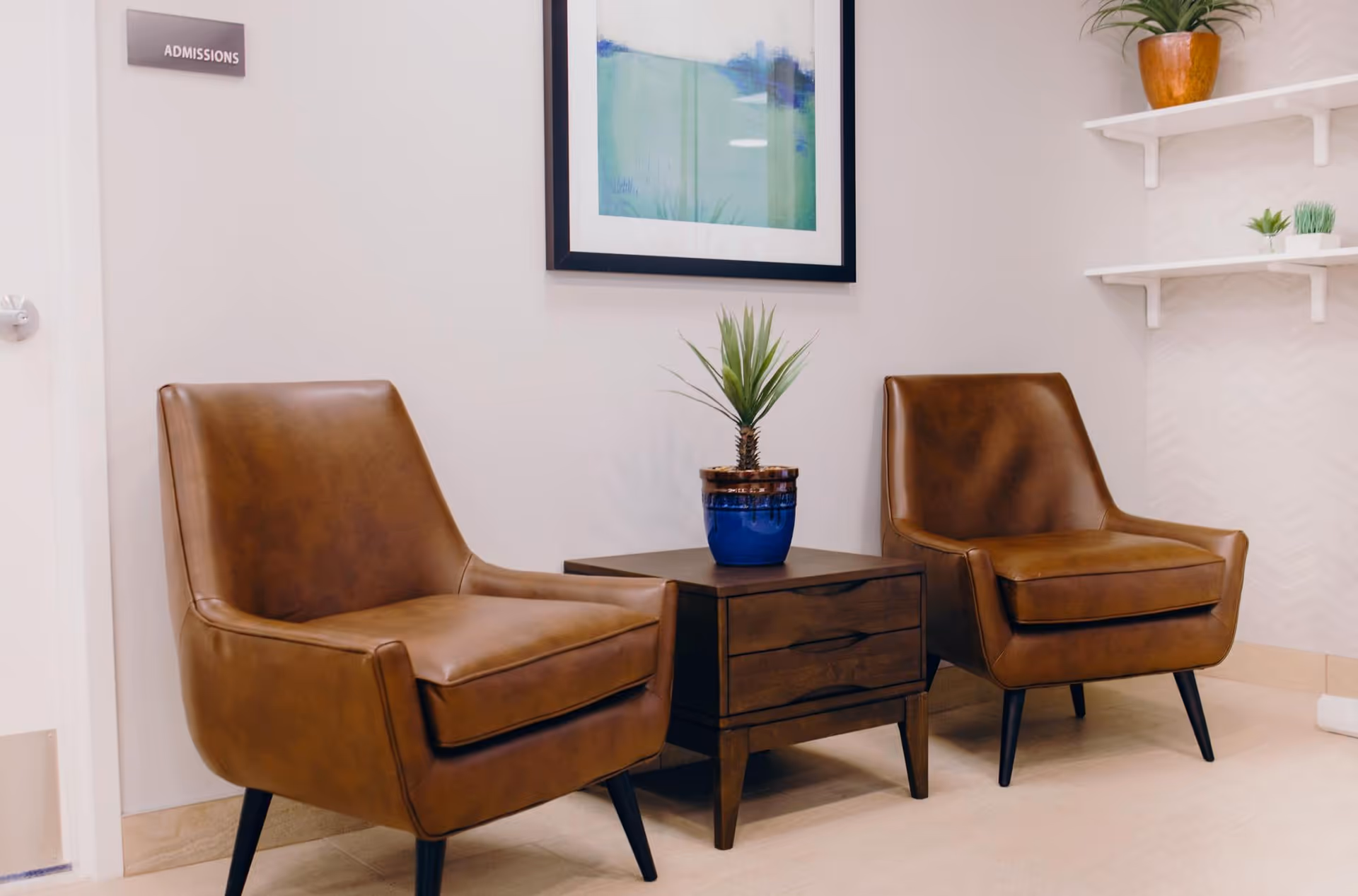 A waiting area with two brown leather chairs separated by a wooden side table with a potted plant on top. A framed abstract painting hangs on the wall above the table. There is a door with a sign labeled 'Admissions' on the left side, and white shelves with small plants on the right wall.