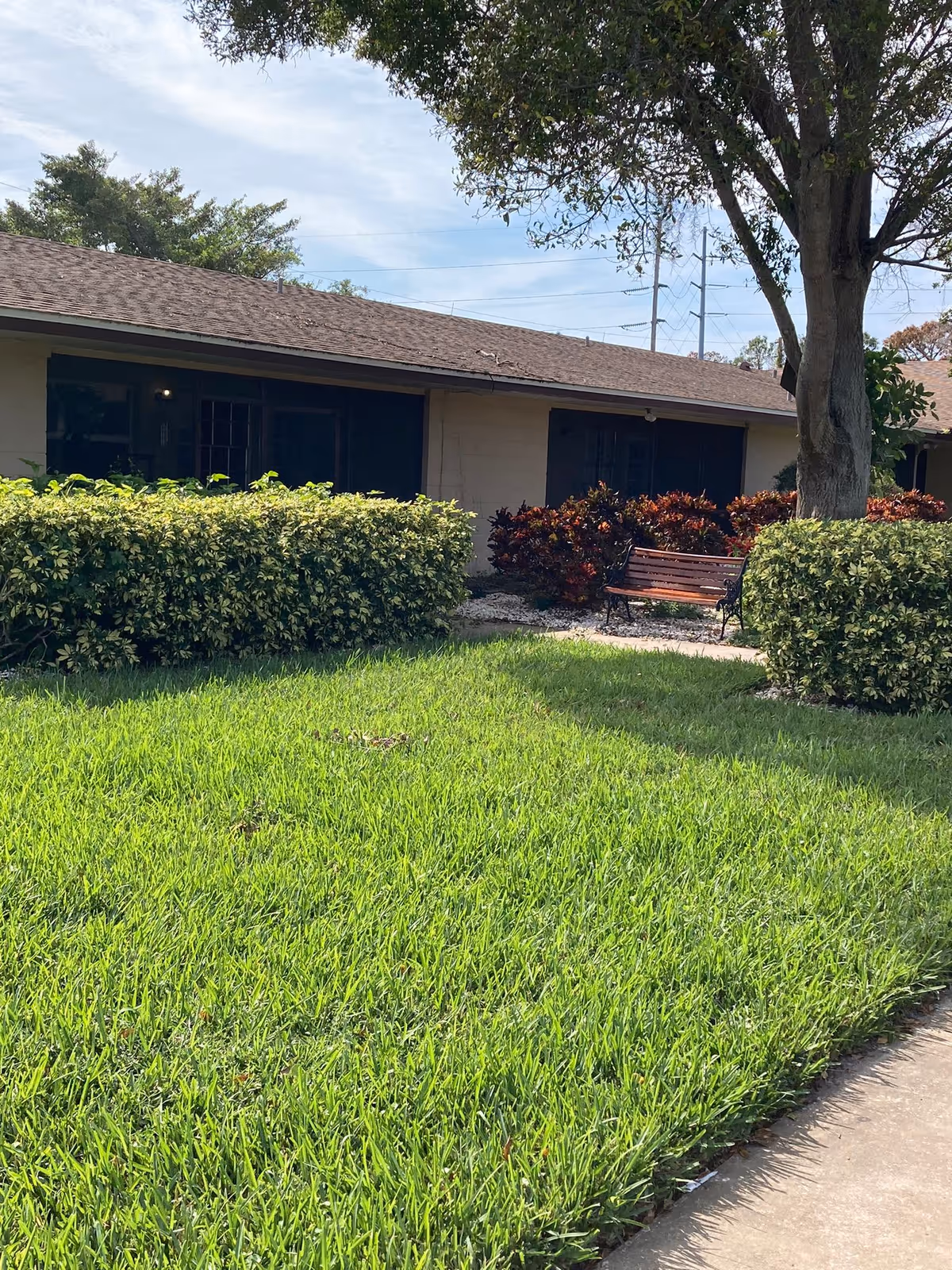 Outdoor view of a single-story building with a brown roof and beige walls, surrounded by green grass, bushes, and a tree. A wooden bench is placed near the bushes under the tree.