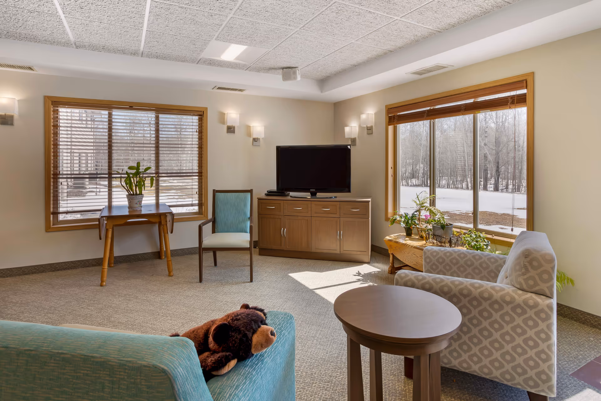 Common room seating area with armchairs, a TV cabinet, large windows and potted plants.