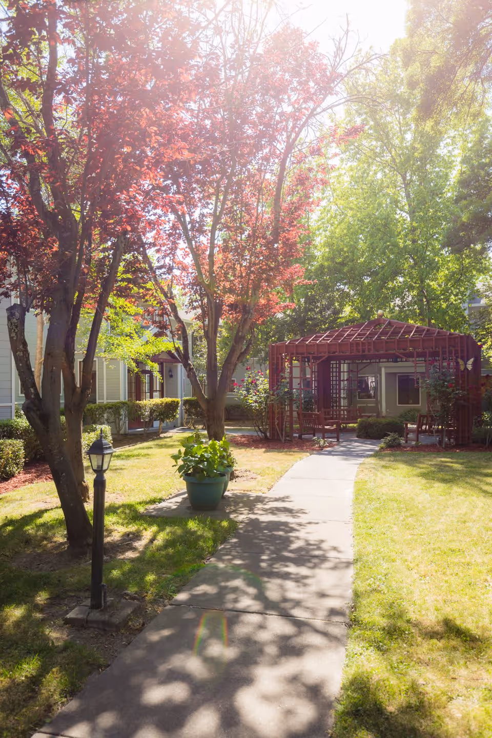 A sunlit outdoor garden area with a concrete pathway leading to a wooden gazebo surrounded by trees with green and red leaves. There is a green potted plant along the path and a small lamp post on the left side. Residential buildings are visible in the background.