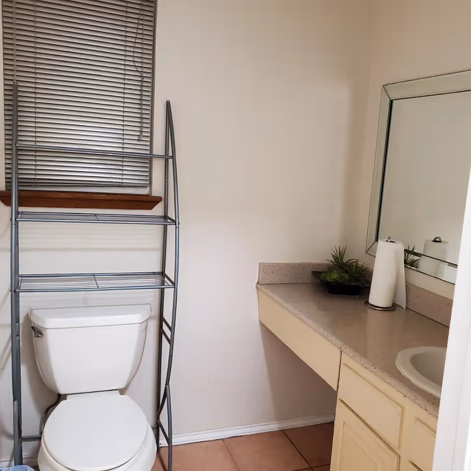 A bathroom with a white toilet, a metal shelving unit above the toilet, a countertop with a sink, a paper towel holder, a small plant, and a large mirror on the wall.