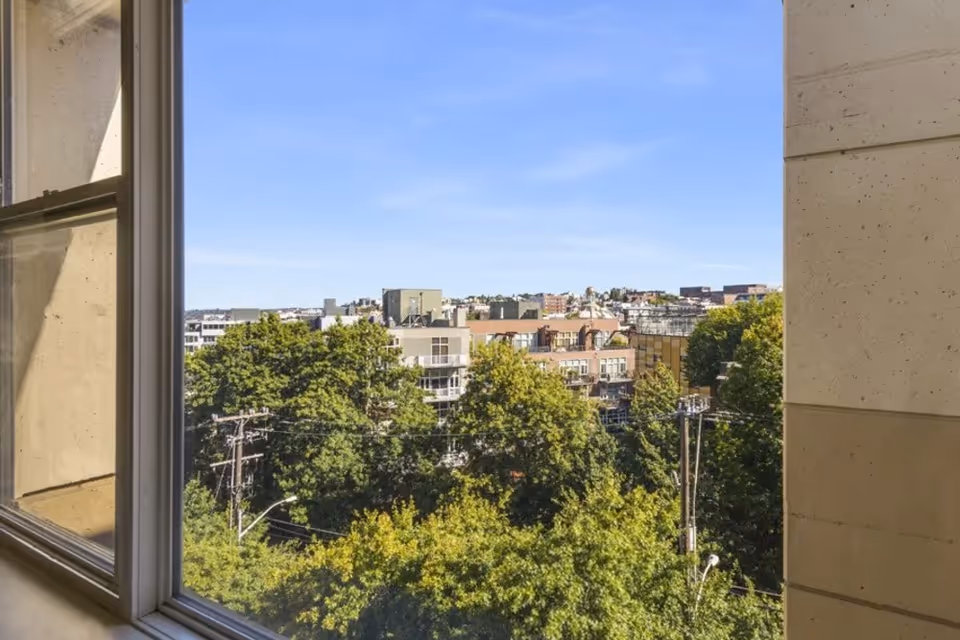 View through a window showing a cityscape with buildings and a large number of green trees under a clear blue sky.