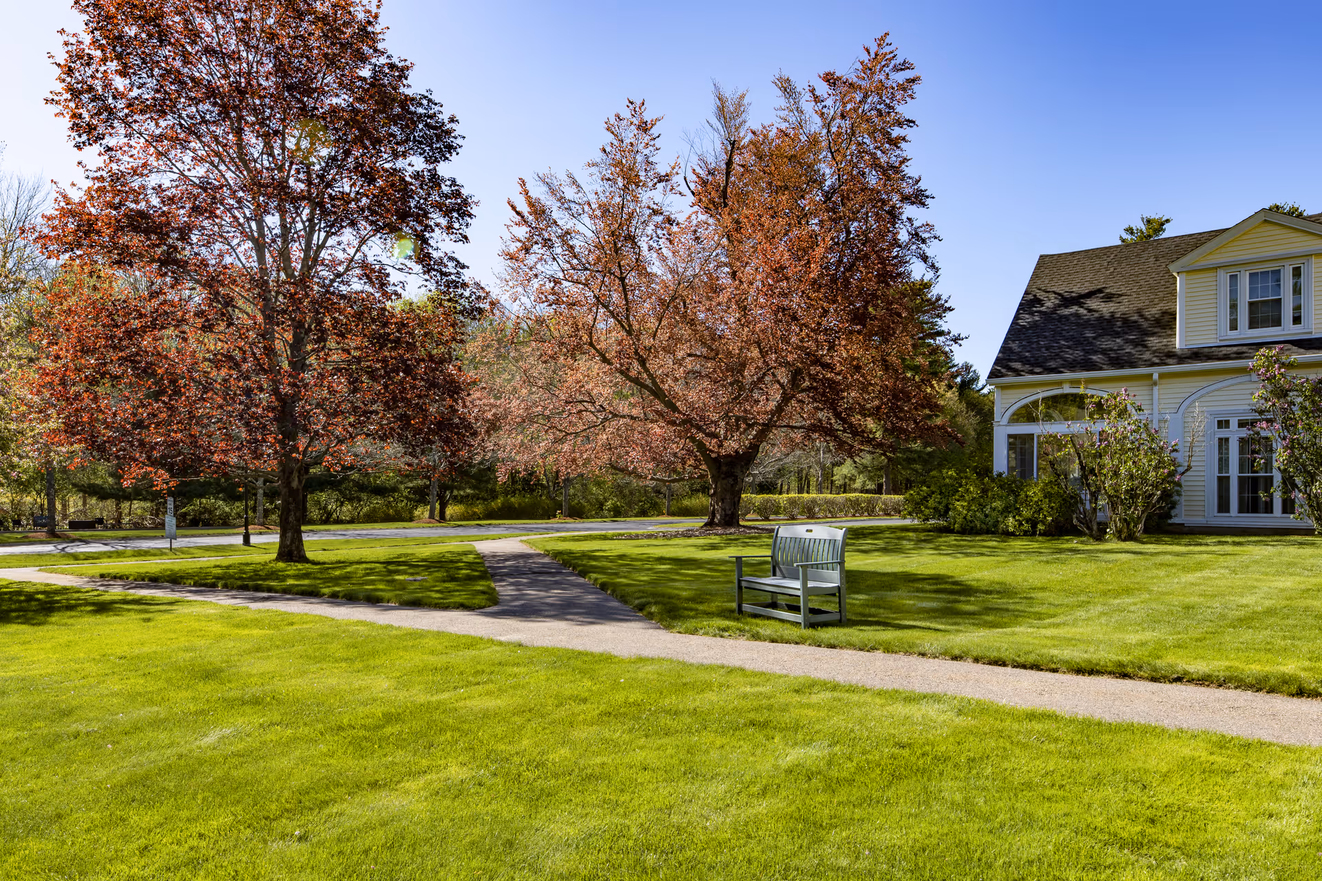Well-manicured lawn and walkway with a bench, flowering trees, and part of a light-colored house under a clear blue sky.