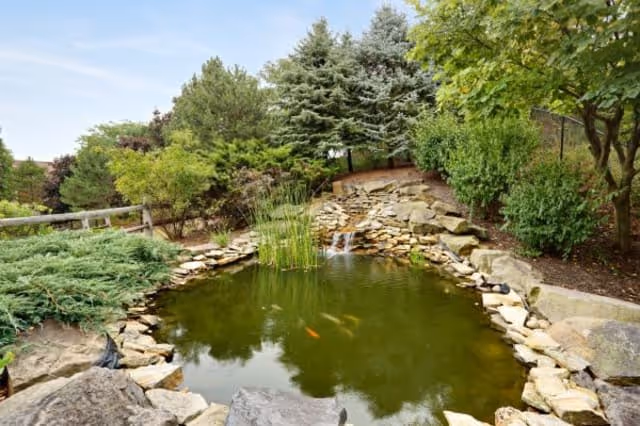 A serene outdoor pond surrounded by rocks and lush greenery, including trees and shrubs. There is a small waterfall feature flowing into the pond, and some fish can be seen swimming in the water.