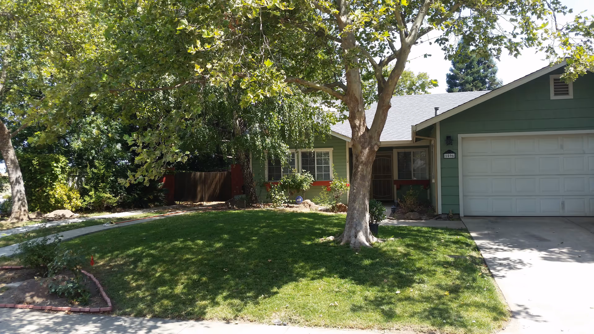 Front exterior view of a single-story green house with a white garage door, a large tree in the front yard, and a well-maintained lawn with some bushes and plants.