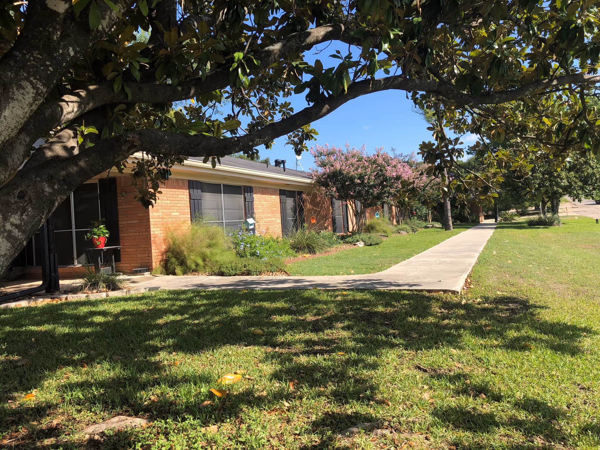 A single-story brick building with black window shutters and a concrete walkway leading alongside it. The building is surrounded by green grass, trees, and flowering bushes under a clear blue sky. A large tree with broad leaves casts shadows over the grass in the foreground.
