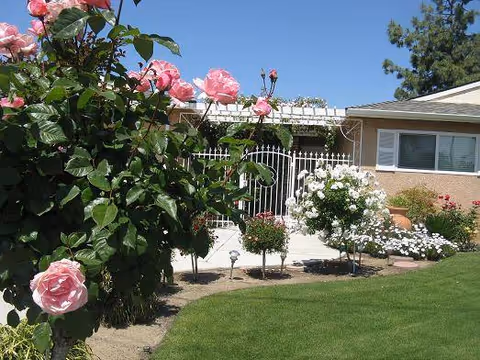 Exterior of Royal Gardens Senior Care with pink and white roses in bloom.