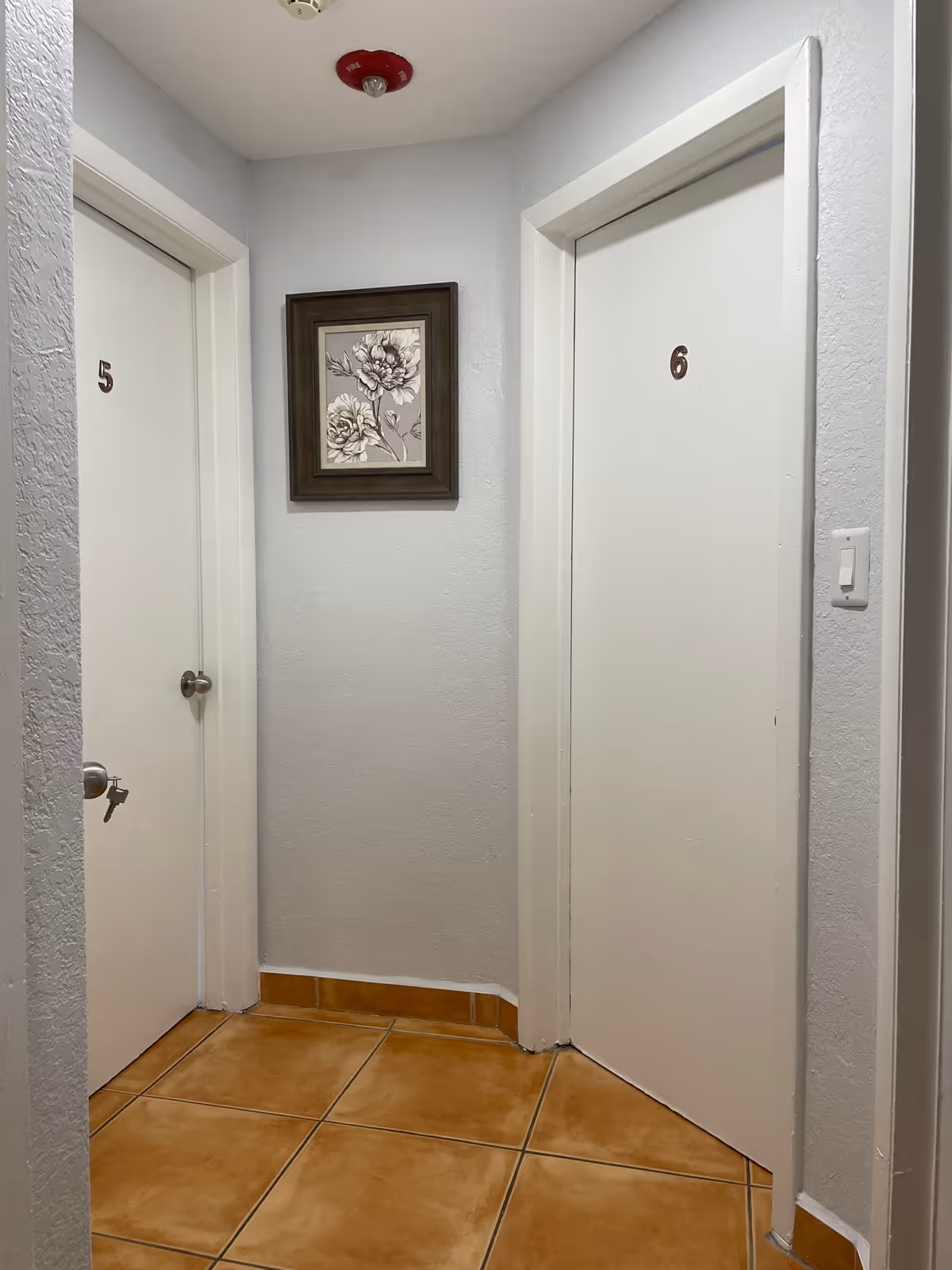 A small hallway with two white doors numbered 5 and 6. The floor is covered with brown tiles, and there is a framed black and white floral picture hanging on the light gray wall between the doors. A fire alarm is mounted on the ceiling.
