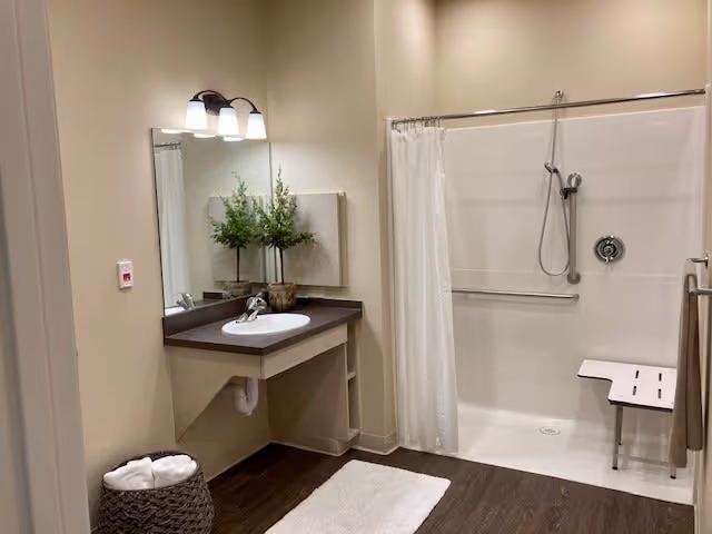 Accessible bathroom with a sink and mirror, a roll-in shower with curtain and fold-down bench, a towel basket and a potted plant on the counter.