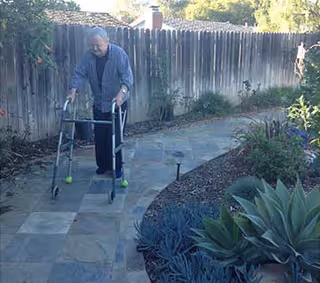 An elderly person using a walker on a paved outdoor pathway next to a wooden fence, surrounded by plants and greenery.