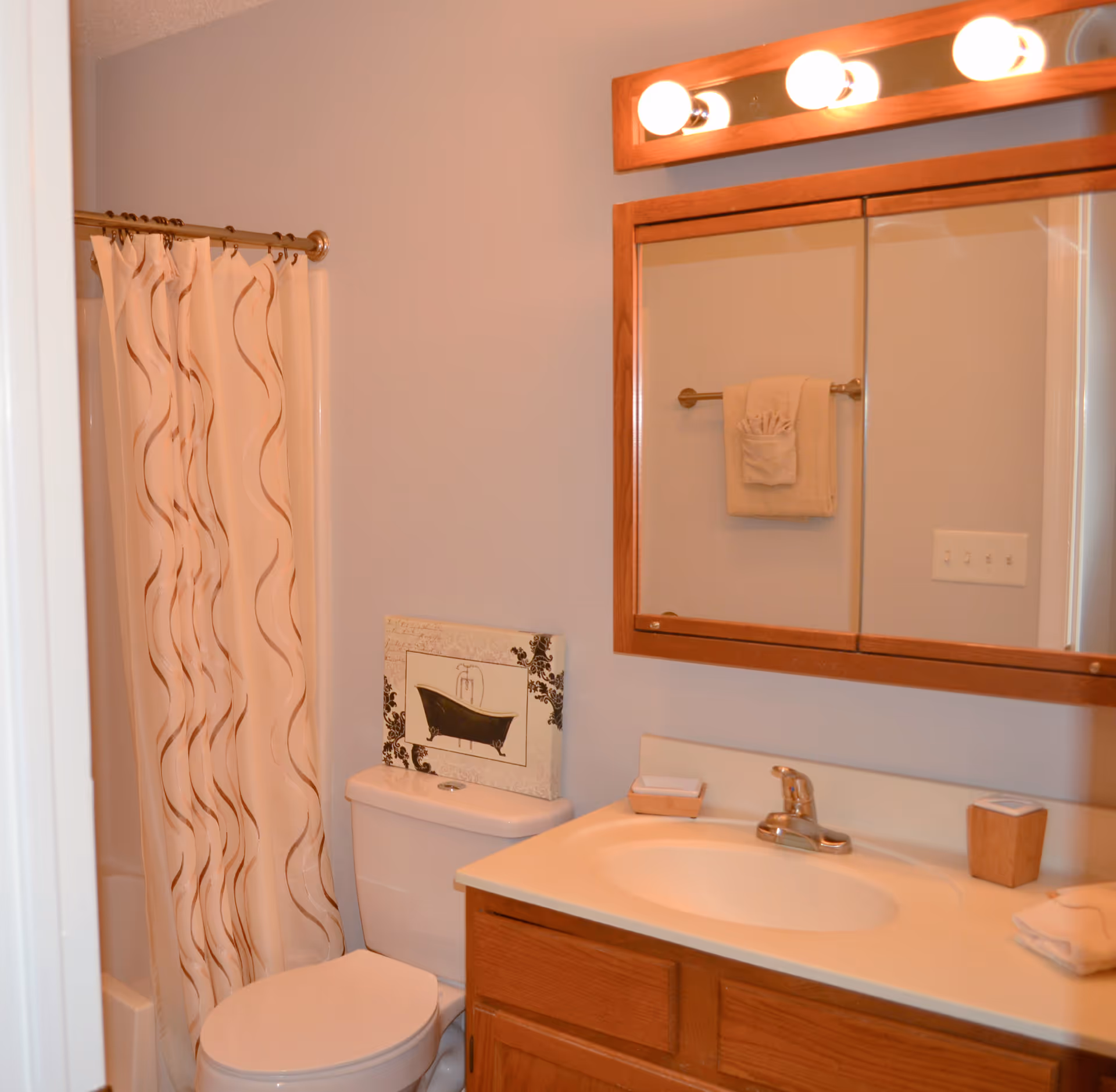 Small bathroom with a sink vanity and mirror, toilet, and shower with a patterned curtain.