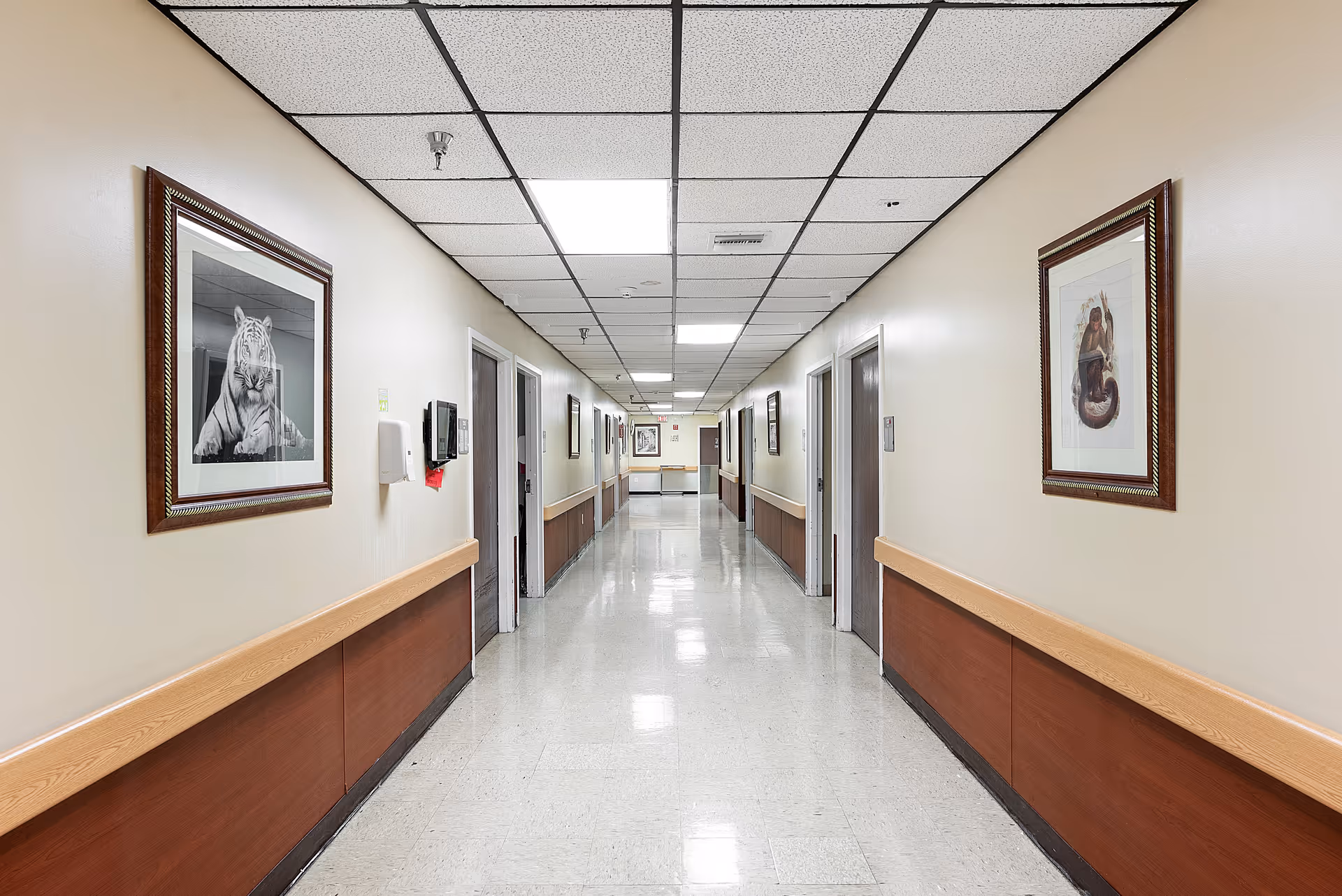 A long, clean hallway in a senior living facility with beige walls, wood paneling along the lower half, and several closed doors on both sides. The ceiling has white tiles with fluorescent lighting. Framed pictures, including a black and white tiger and an animal painting, hang on the walls.