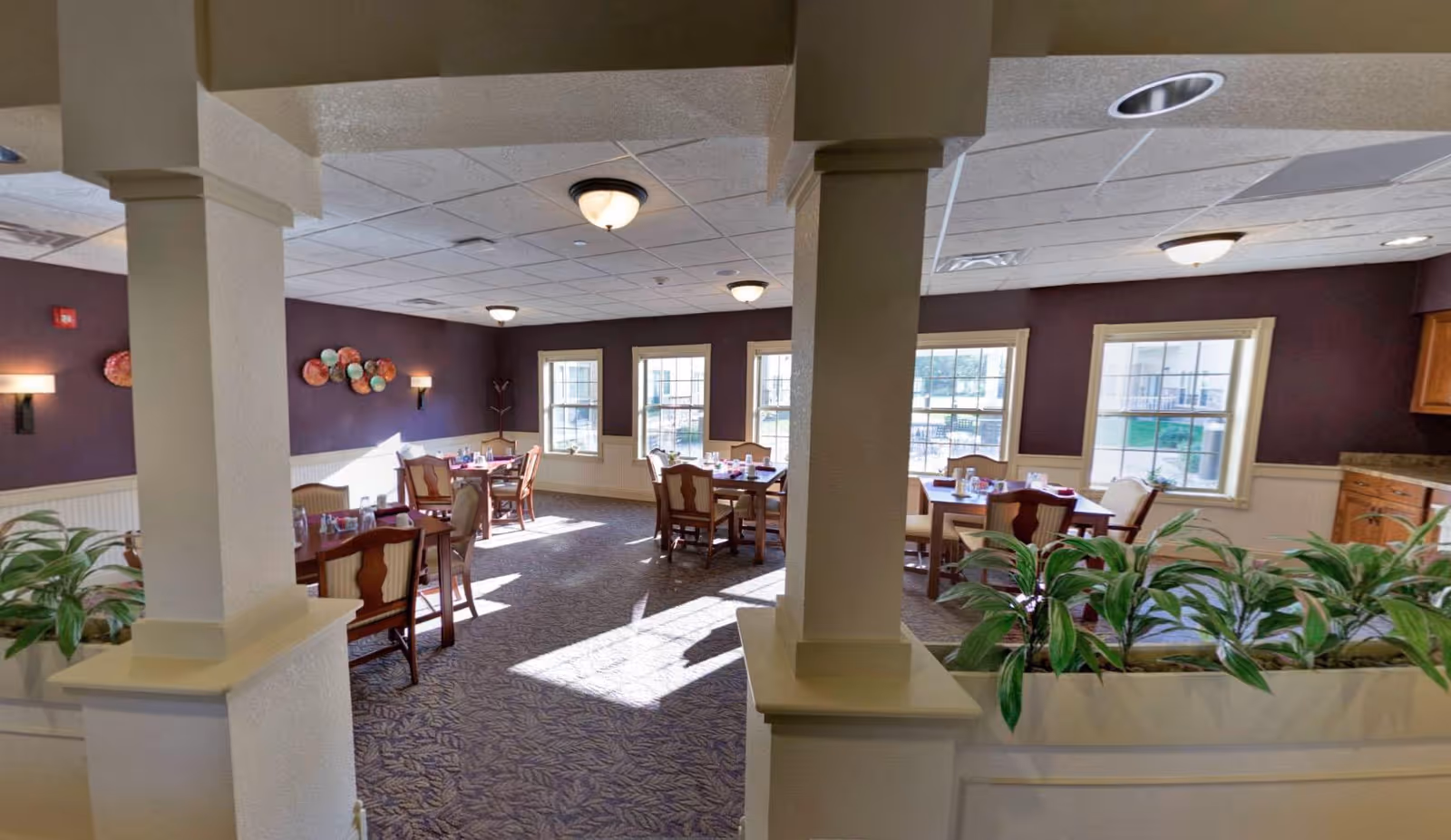 A bright dining room in a senior living facility with several wooden tables and chairs arranged neatly. The room has large windows letting in natural light, purple walls with decorative wall art, and ceiling lights. There are green plants in a planter near the foreground and wooden cabinetry along one wall.