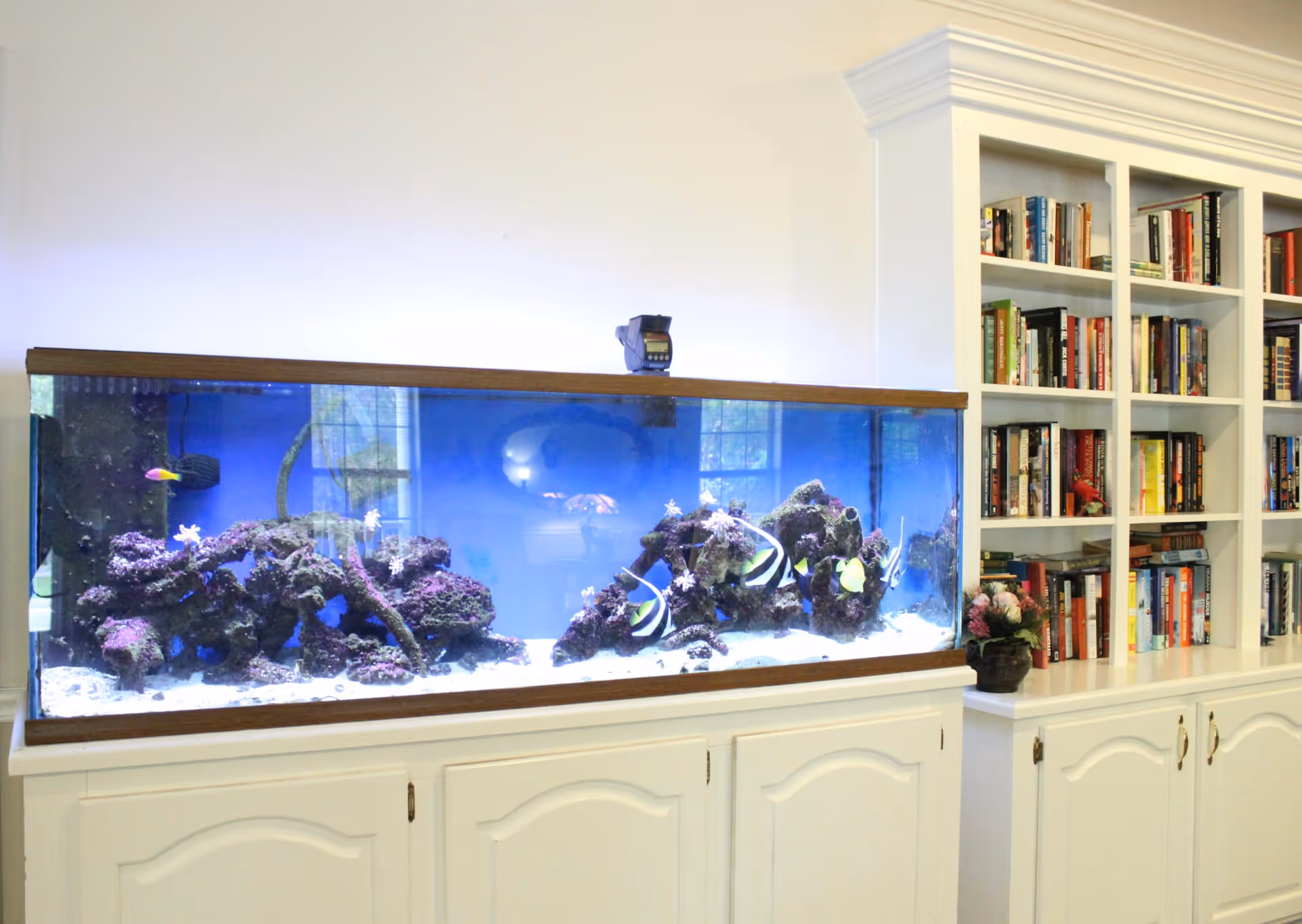 A large rectangular aquarium filled with colorful fish and coral sits on a white cabinet. To the right of the aquarium is a white built-in bookshelf filled with books and a small potted plant with flowers. The background wall is plain and light-colored.