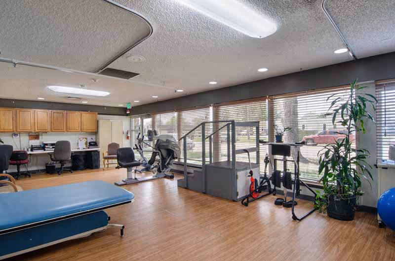 Bright physical therapy room with treatment table, exercise machines, desks and large windows overlooking the lawn.