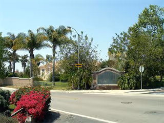 Street view of a residential area with palm trees, flowering bushes, and a stone sign structure near the sidewalk. A yellow traffic sign with a left arrow and a stop sign are visible, along with a house partially obscured by trees in the background.