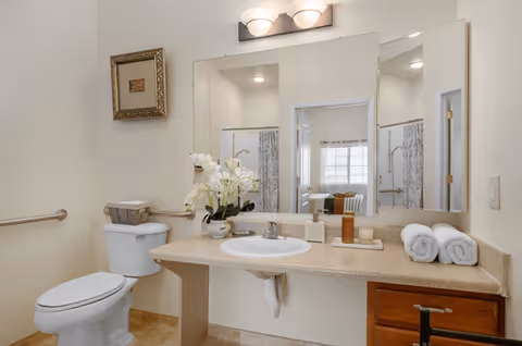 A clean and well-lit bathroom featuring a white toilet with a grab bar on the wall, a beige countertop with a white sink, a large mirror above the sink, and neatly arranged items including a potted orchid, soap dispenser, and two rolled white towels. A framed picture hangs on the wall above the toilet.