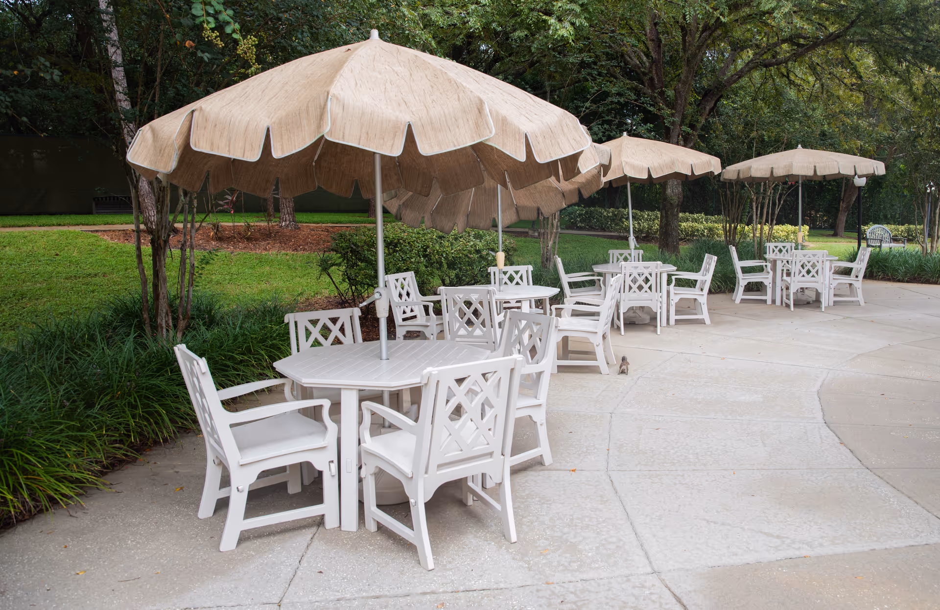 Outdoor patio area with multiple white tables and chairs arranged under large beige umbrellas, surrounded by green grass, bushes, and trees.