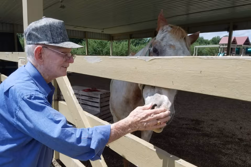 An elderly man wearing a gray cap and blue shirt is gently petting the nose of a white horse with brown spots through a wooden fence under a covered area with greenery and a playground visible in the background.