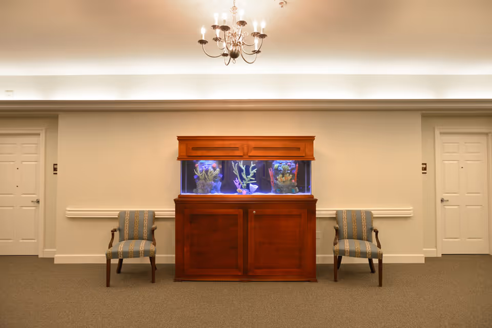 Interior hallway with two closed white doors on either side, a wooden aquarium filled with colorful coral and fish in the center, flanked by two upholstered armchairs with patterned fabric. A chandelier hangs from the ceiling above.