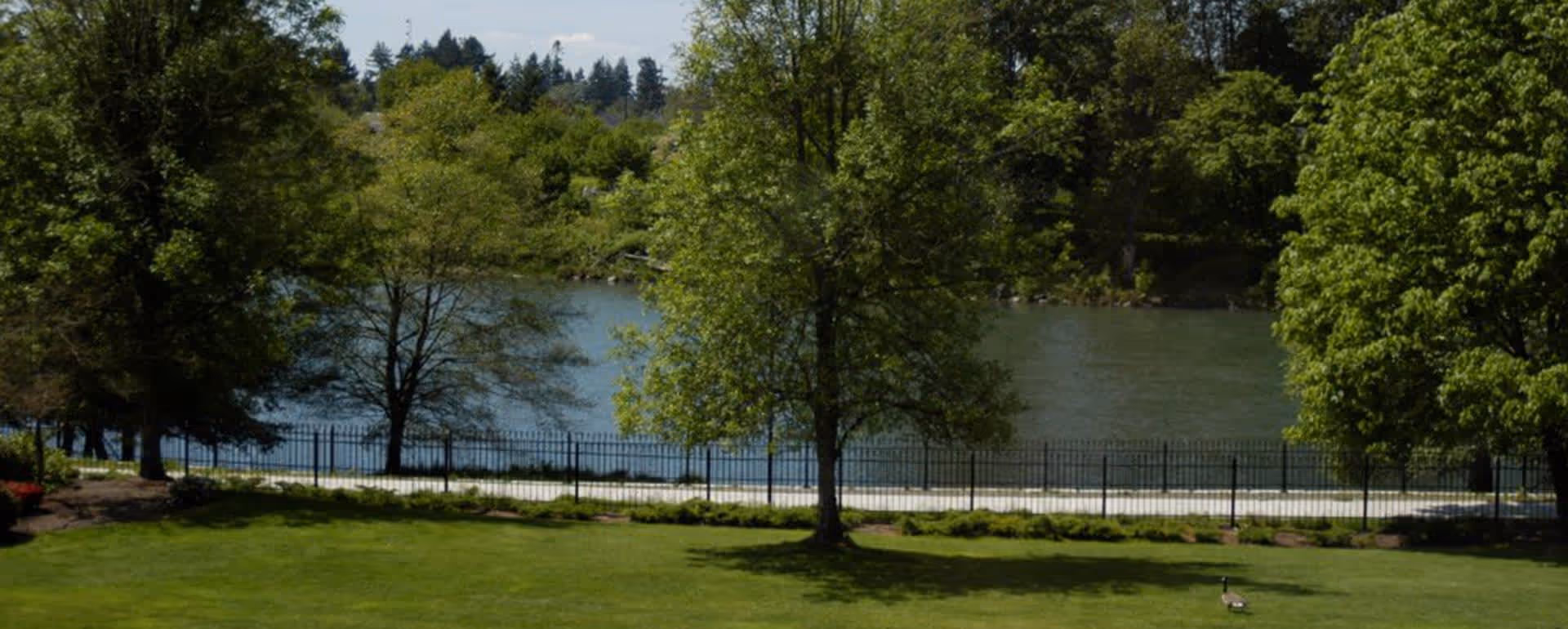 A scenic outdoor view featuring a green lawn with a few trees, a black metal fence, and a body of water in the background surrounded by more trees under a partly cloudy sky.