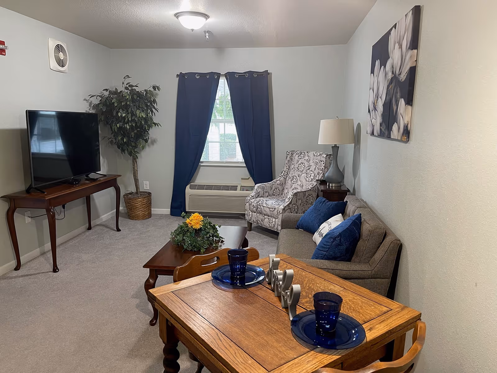 Cozy living room with a sofa, patterned armchair, TV on a stand, coffee table with flowers, and a small wooden dining table set near a window with blue curtains.