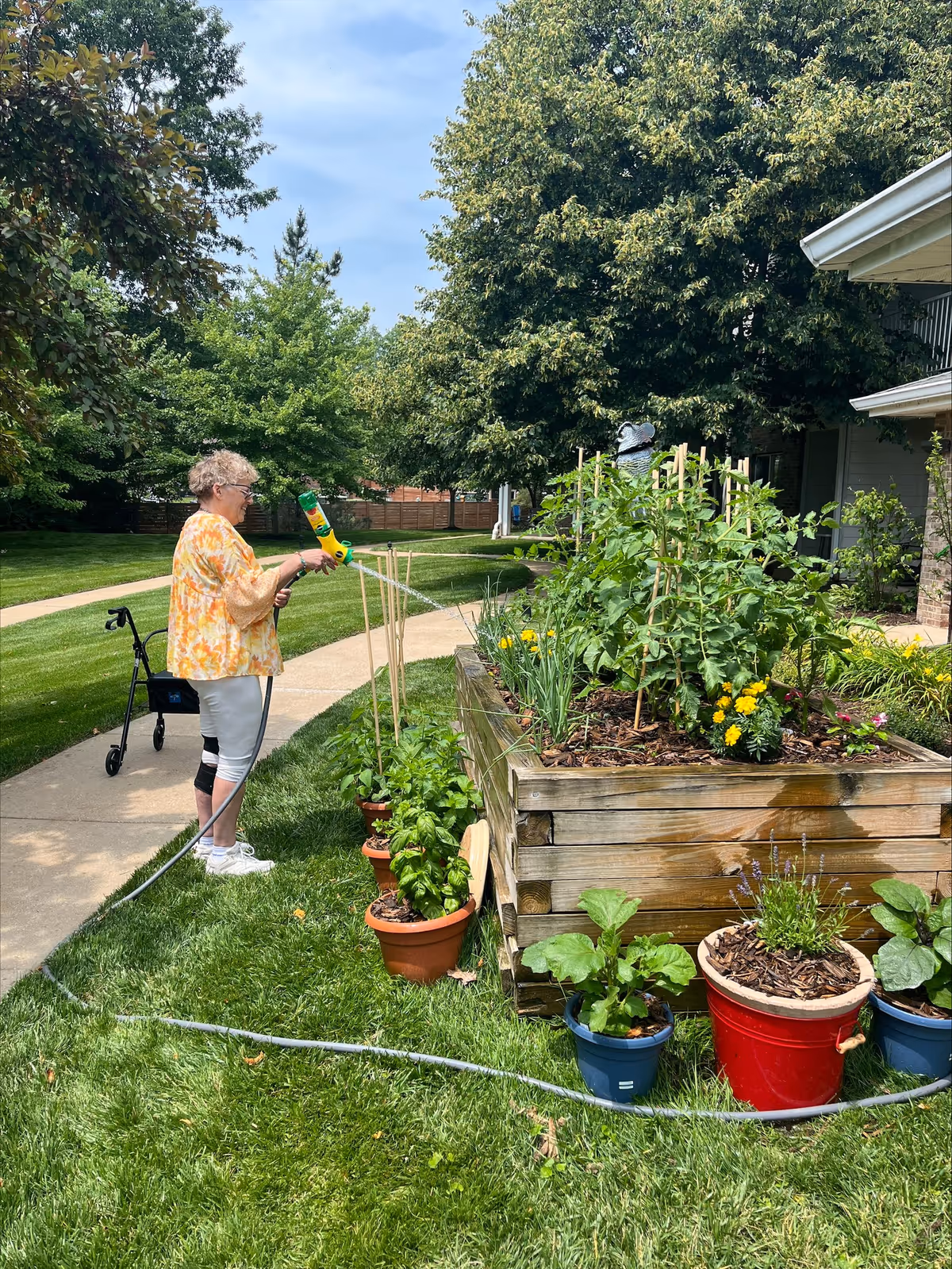 An elderly woman wearing a yellow floral blouse and white pants waters plants in a garden using a green and yellow hose nozzle. She stands on a grassy area next to a paved walkway with a black walker nearby. The garden includes a raised wooden planter box and several potted plants. Trees and a building are visible in the background under a partly cloudy sky.