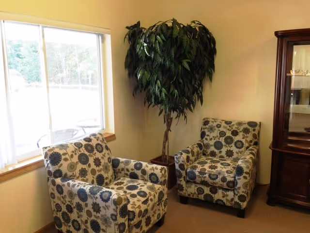A cozy corner in a living area with two patterned armchairs featuring a floral design, a tall potted plant between them, a large window on the left letting in natural light, and a wooden display cabinet on the right.