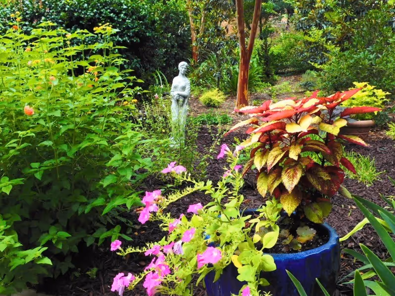 A vibrant garden scene featuring a variety of plants including bright pink flowers and a colorful leafy plant in a blue pot. In the background, there is a white statue of a person standing among lush greenery and trees.