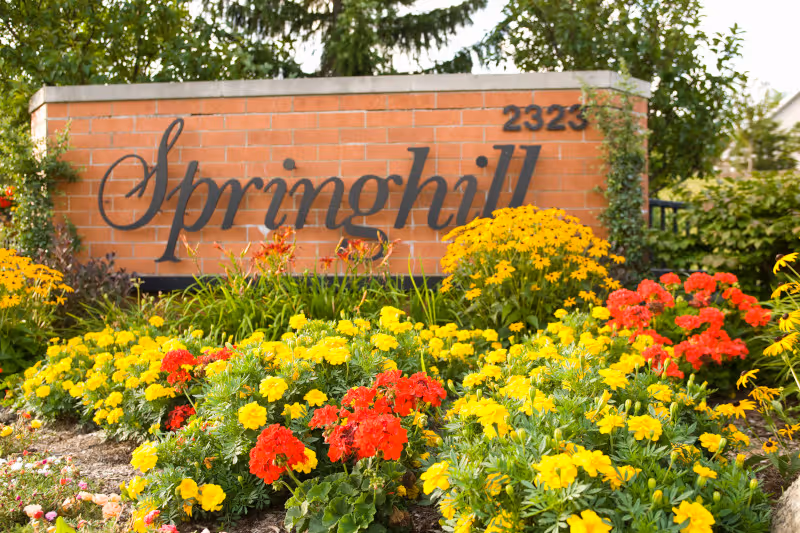 A brick sign with the word 'Springhill' in elegant black script and the number 2323 on the top right corner, surrounded by vibrant yellow and red flowers and green foliage.