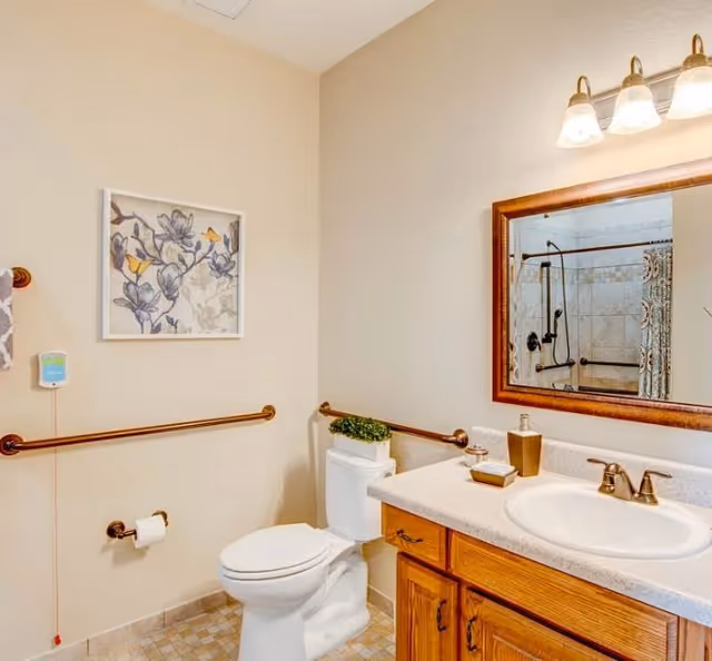 Accessible bathroom with a toilet, vanity sink and mirror, wall-mounted grab bars, and framed artwork.