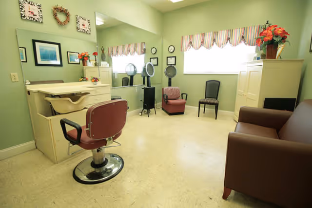 A bright room with light green walls featuring a salon chair in front of a vanity with a sink, two hair dryers on stands, a brown armchair, a black chair, and a brown couch. The room has two windows with striped valances, framed pictures on the walls, and decorative flowers on the vanity and cabinet.