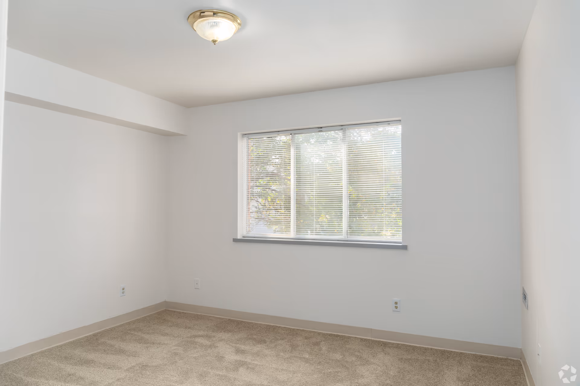 Empty carpeted bedroom with a window, blinds, and a ceiling light.