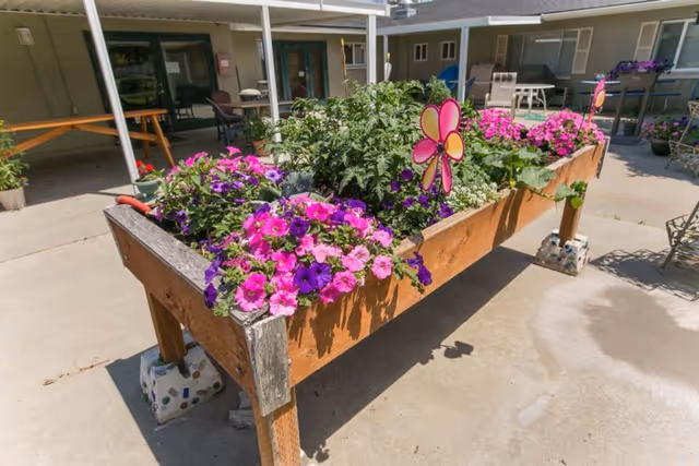 A raised wooden garden bed filled with vibrant pink and purple flowers and green plants, placed on a concrete patio outside a building. The garden bed is decorated with colorful pinwheel ornaments. In the background, there are patio chairs, tables, and the exterior walls and windows of the facility.