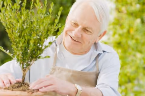 An elderly man wearing a beige apron is smiling while tending to a small potted plant outdoors, surrounded by greenery.