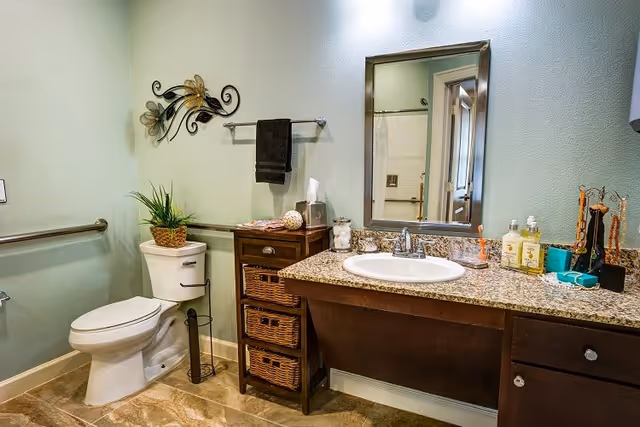 A clean and well-organized bathroom featuring a white toilet with a plant on top, a wooden cabinet with wicker drawers, a granite countertop with a sink, a mirror above the sink, and various toiletries and decorative items. The walls are painted light green, and there is a decorative metal wall art piece above the toilet.