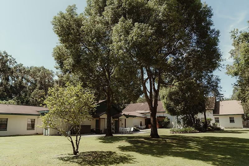 A spacious outdoor area of Prestige Manor Assisted Living Facility Belleview featuring a well-maintained lawn, several large trees providing shade, and a single-story building with multiple entrances and windows in the background under a clear sky.