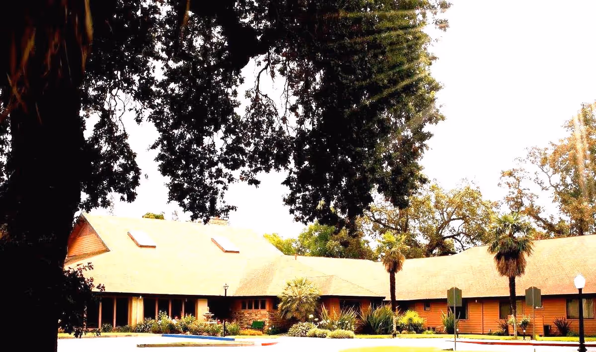 Exterior view of a single-story building with a light-colored roof and wooden siding, surrounded by trees, shrubs, and palm trees under a bright sky.