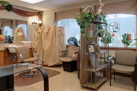Indoor salon area with chairs, privacy curtains, shelves, and potted plants near windows.