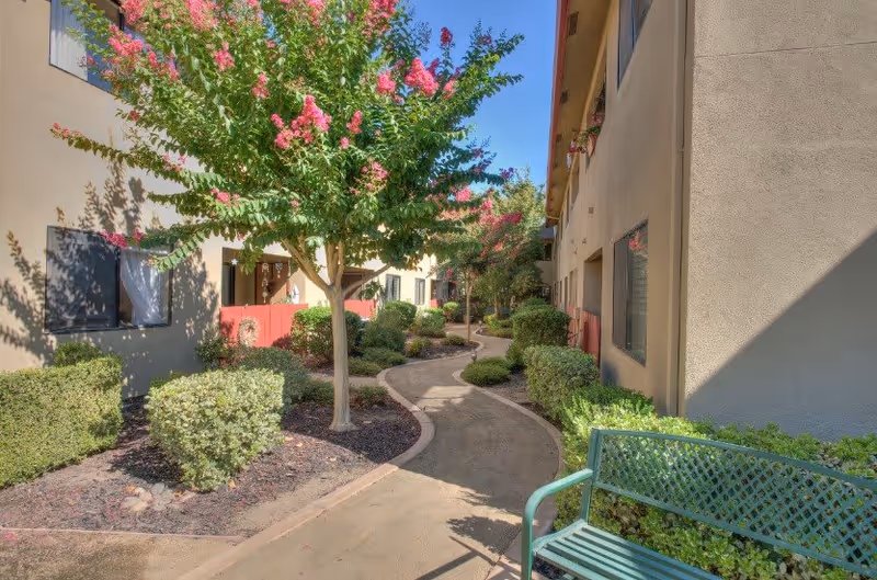 A winding outdoor pathway lined with green bushes and trees with pink flowers, situated between two beige buildings. A green metal bench is visible on the right side of the path under the shade.