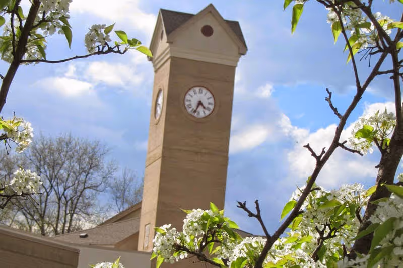 Clock tower on a building seen through branches of a tree with white blossoms under a partly cloudy blue sky.