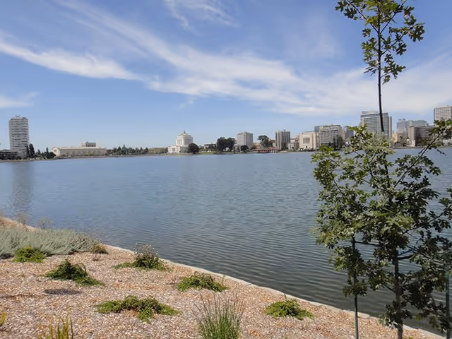 View of a calm body of water with a city skyline in the background under a partly cloudy sky. In the foreground, there is a rocky shoreline with some green plants and a small tree on the right side.
