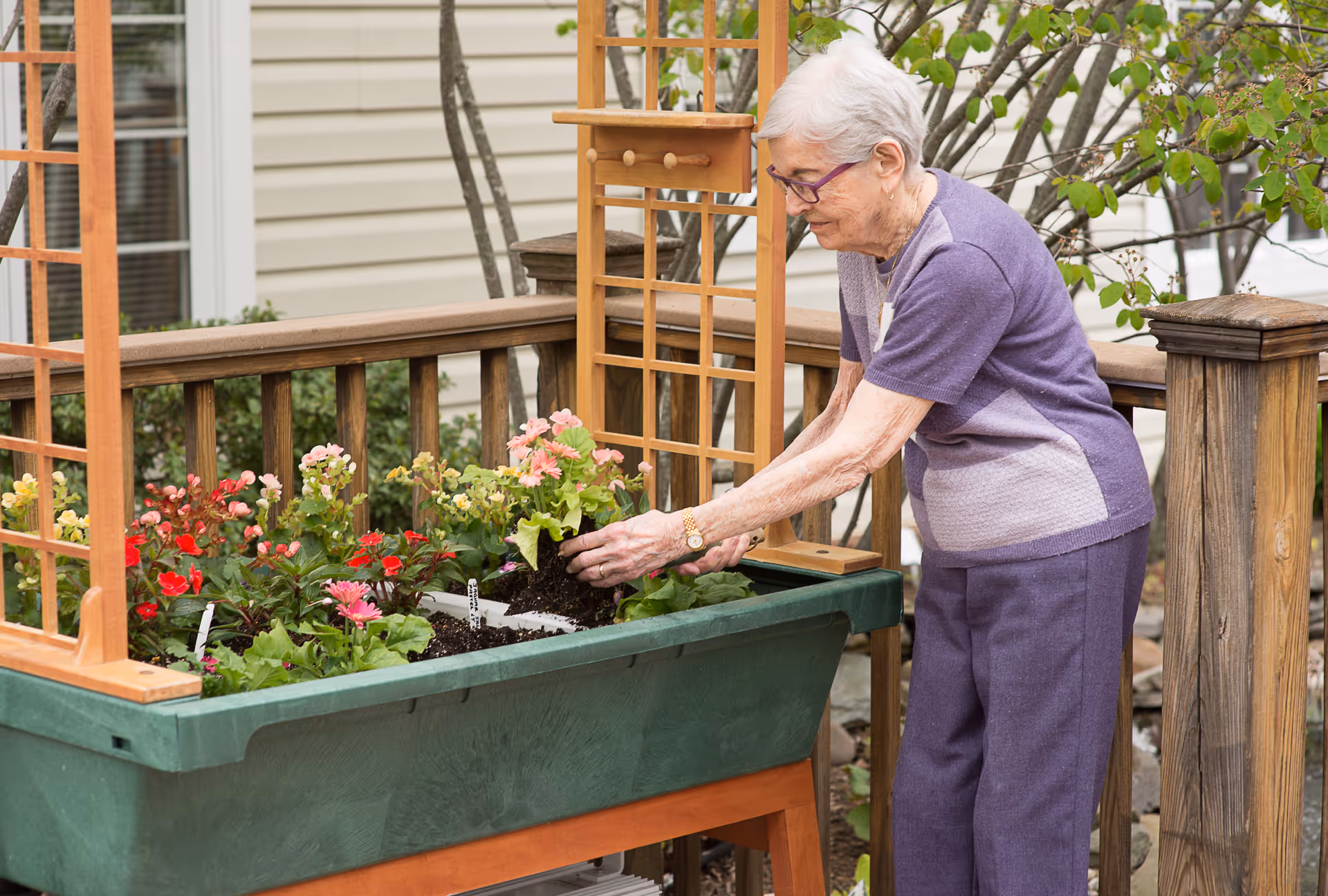 An elderly woman wearing a purple outfit and glasses is gardening outdoors, planting flowers in a raised green planter box with wooden trellises. The background shows a wooden railing and the exterior wall of a building.